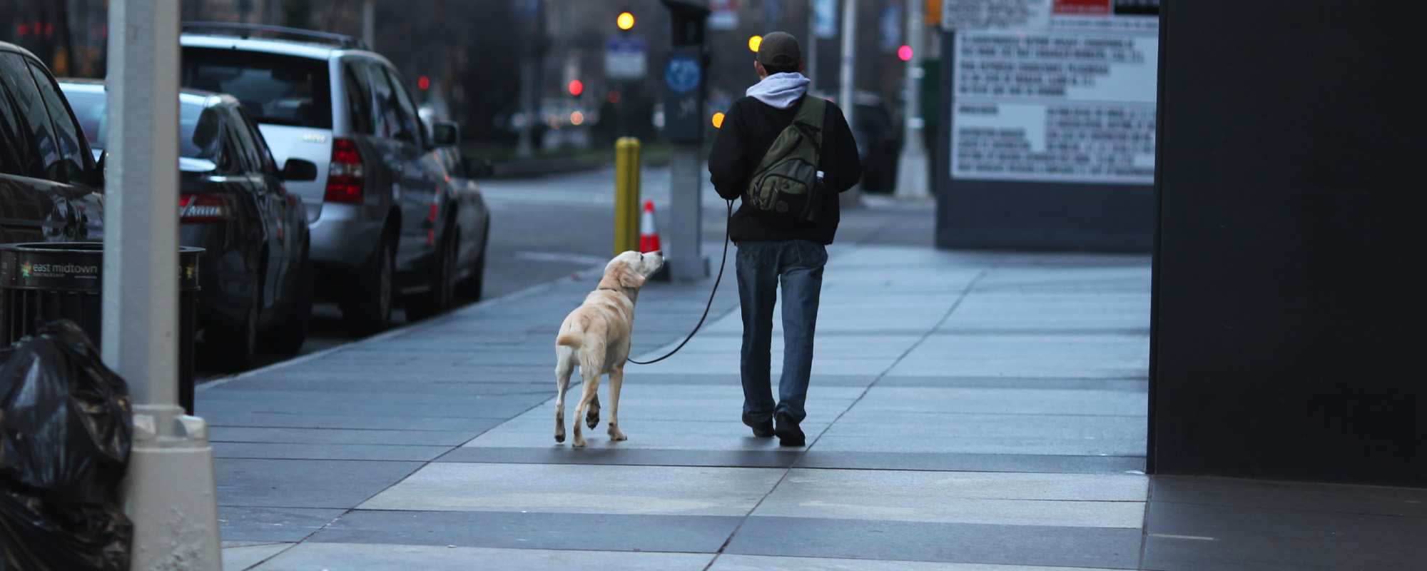 man and dog walking on new york sidewalk in winter